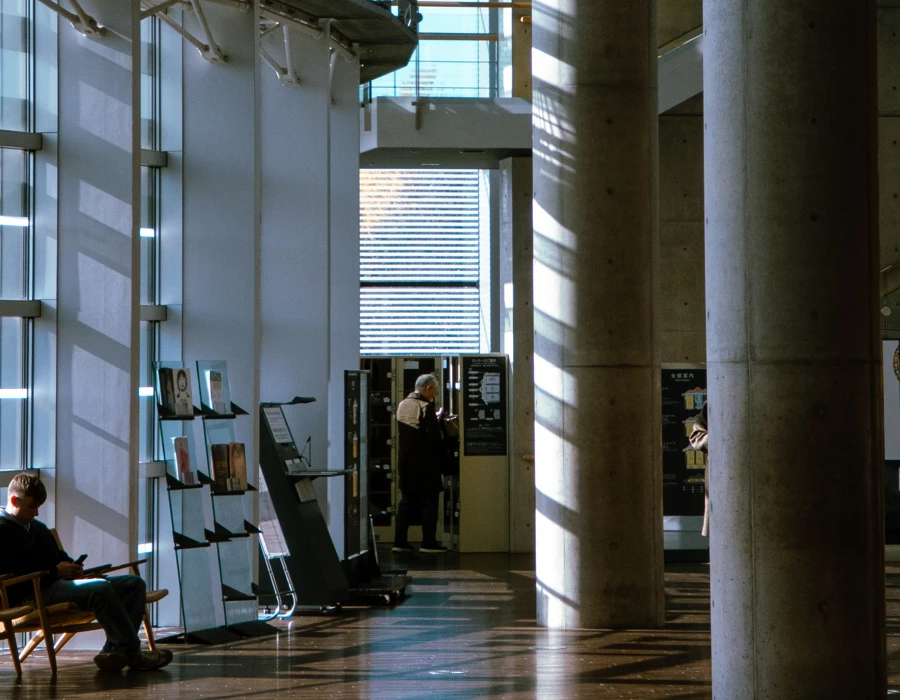 Readers studying in a library lit by tall windows.